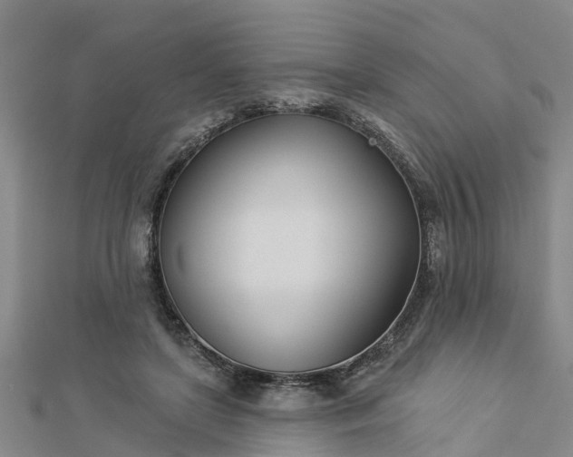 X0000113000451200909031257