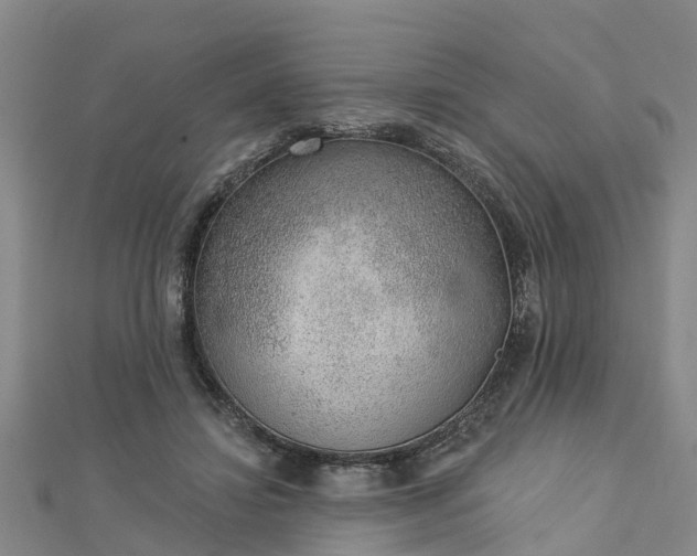 X0000113000452200909031257