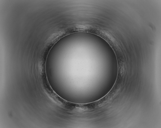 X0000113000455200909031257