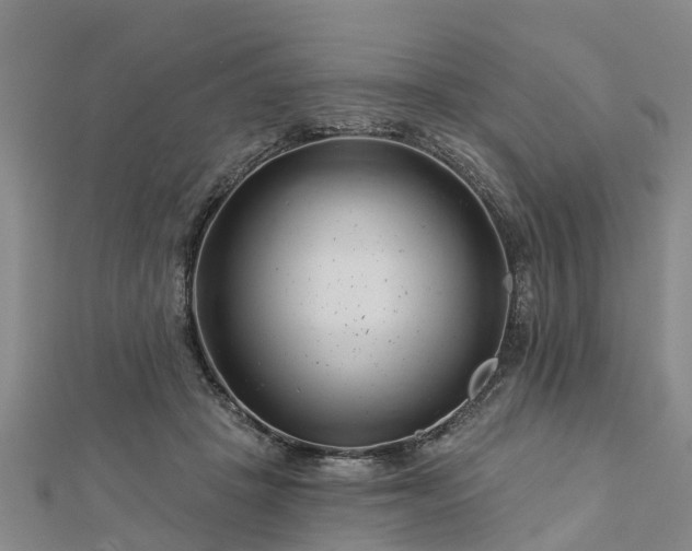 X0000113000457200909031257