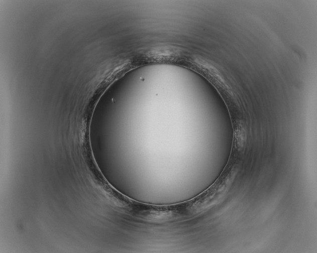 X0000113000458200909031257