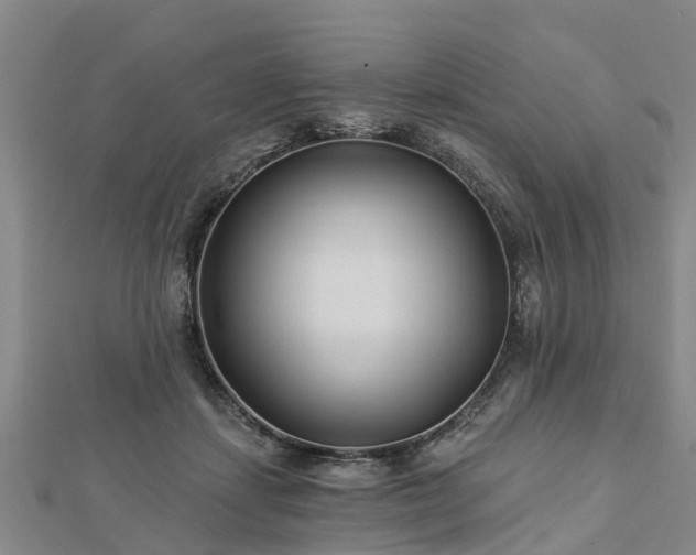 X0000113000459200909031257