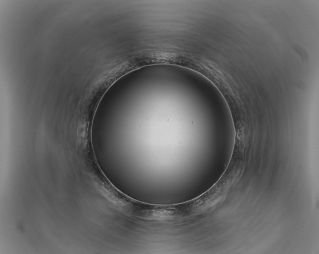 X0000113000462200909031257