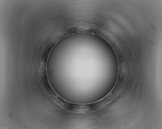 X0000113000463200909031257