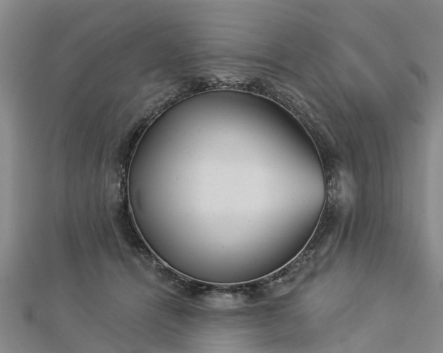 X0000113000464200909031257