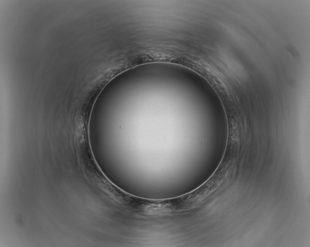 X0000113000465200909031257