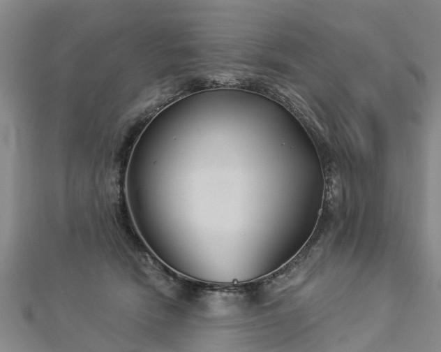 X0000113000466200909031257