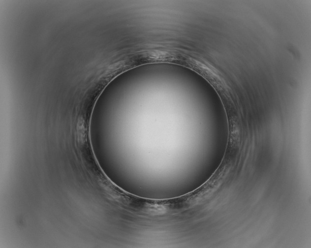 X0000113000469200909031257