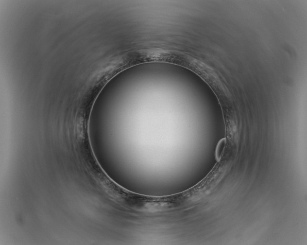 X0000113000470200909031257