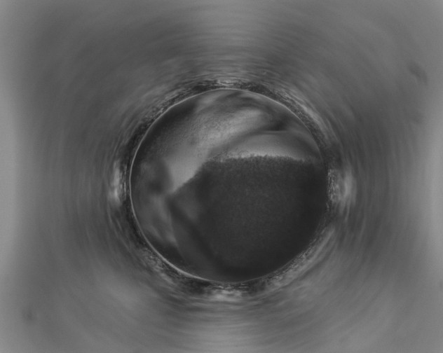 X0000113000471200909031257