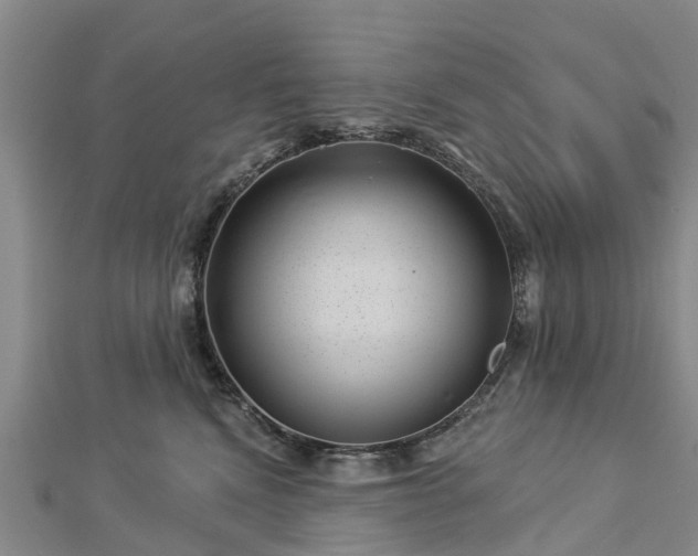 X0000113000472200909031257