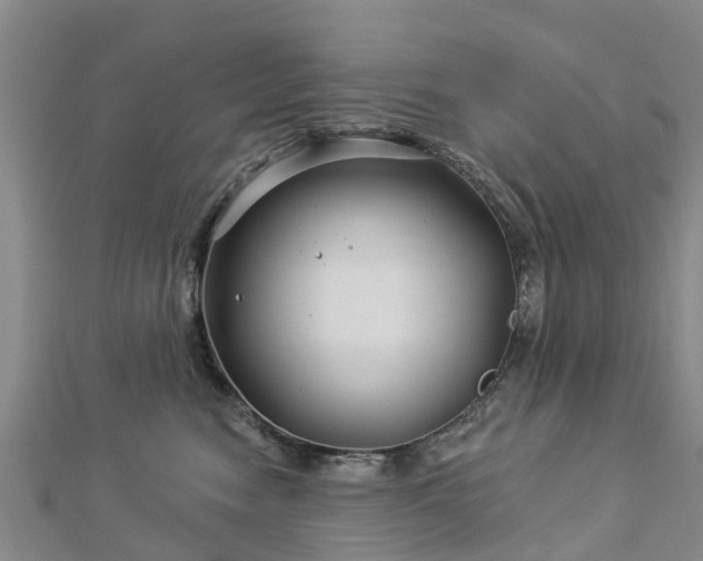 X0000113000474200909031257