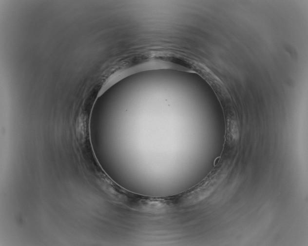 X0000113000475200909031257