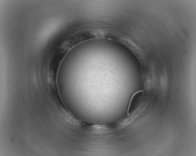 X0000113000477200909031257