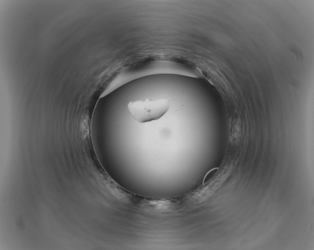 X0000113000478200909031257