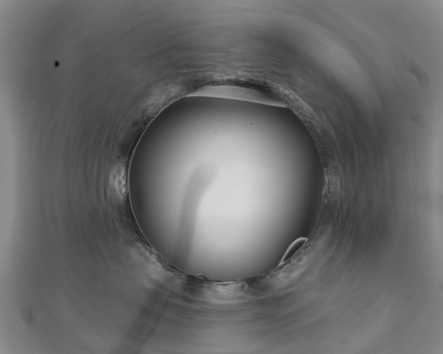 X0000113000479200909031257