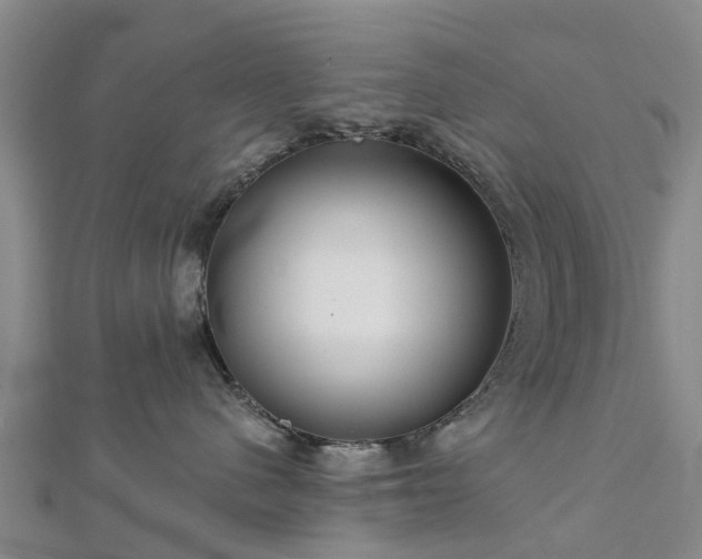 X0000113000480200909031257