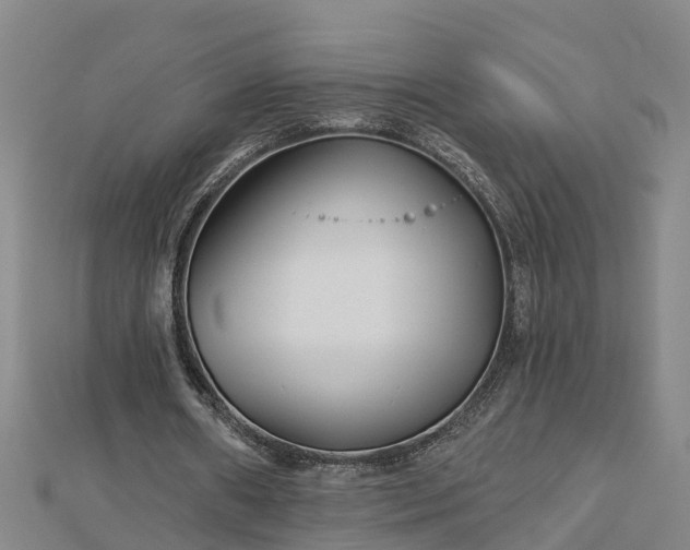 X0000113000482200909031256