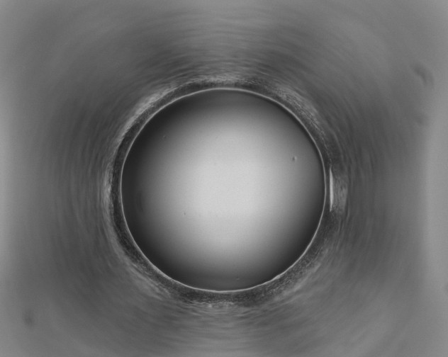 X0000113000483200909031256