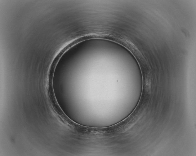 X0000113000484200909031256