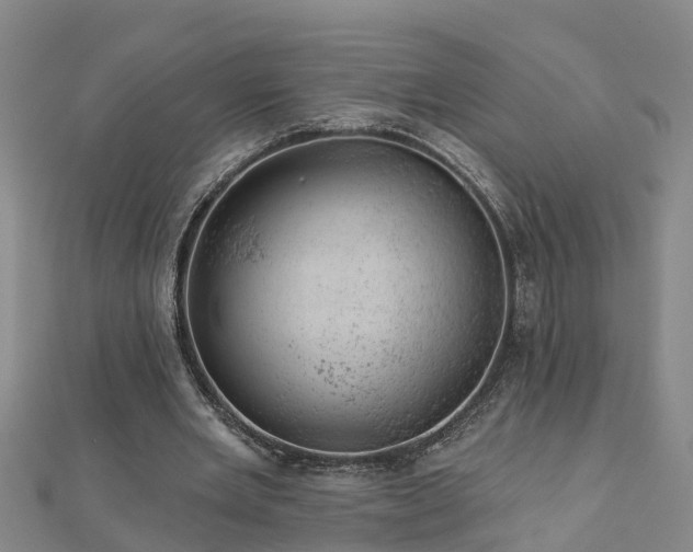 X0000113000485200909031256