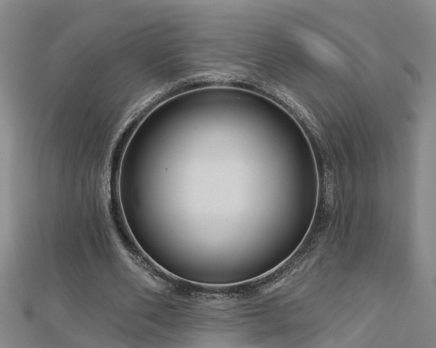 X0000113000486200909031256