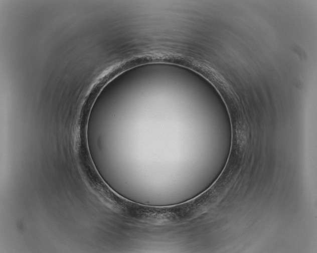 X0000113000488200909031256