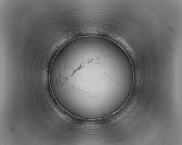 X0000113000489200909031256