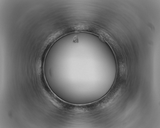 X0000113000490200909031256