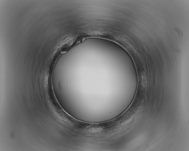 X0000113000491200909031256