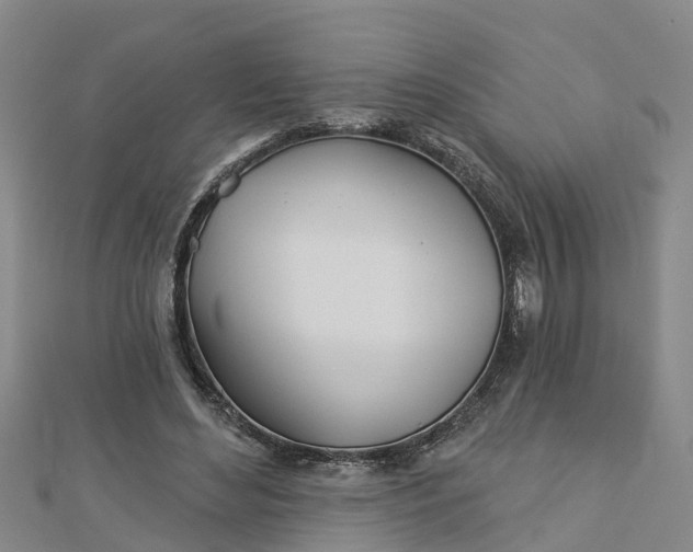 X0000113000492200909031256