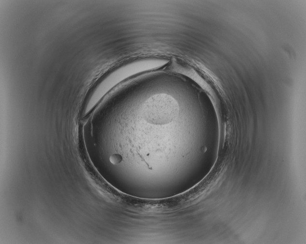 X0000113000493200909031256