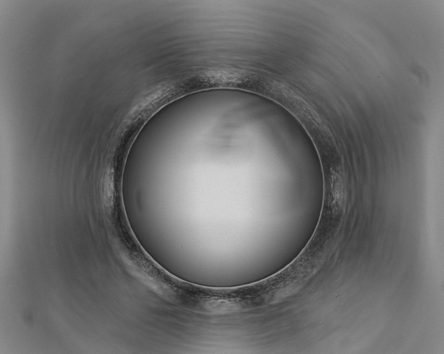 X0000113000494200909031256