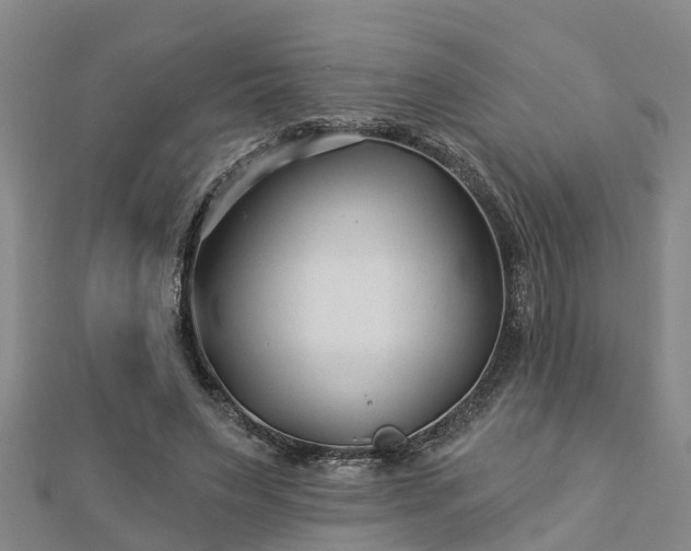 X0000113000495200909031256