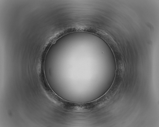 X0000113000496200909031256