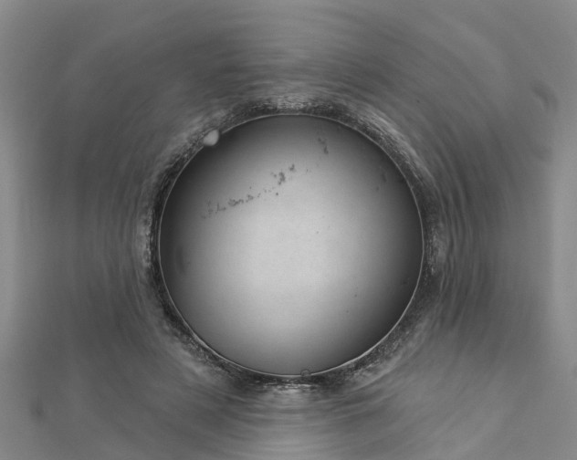 X0000113000497200909031256