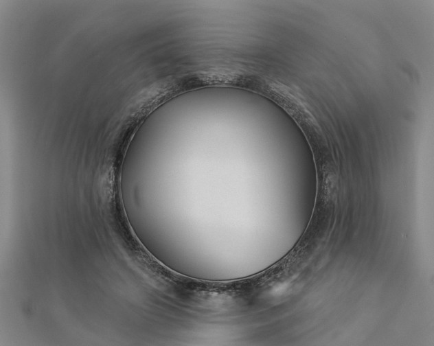 X0000113000498200909031256