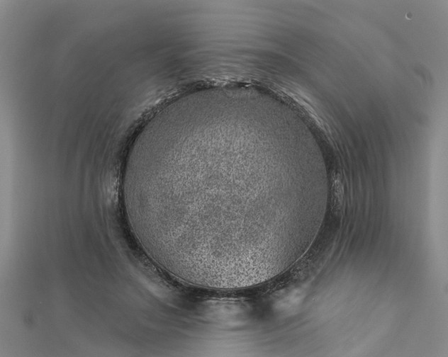 X0000113000499200909031256