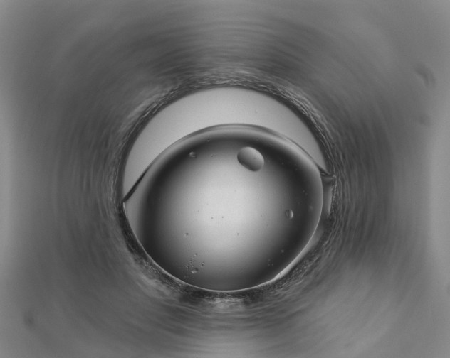 X0000113000501200909031256