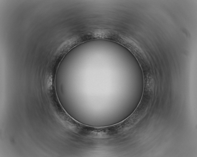 X0000113000502200909031256