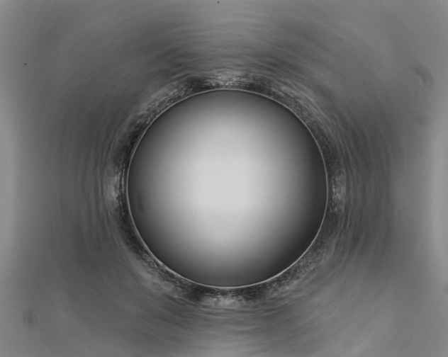 X0000113000503200909031256