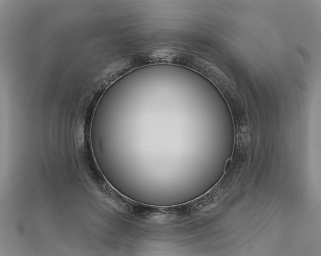 X0000113000504200909031256