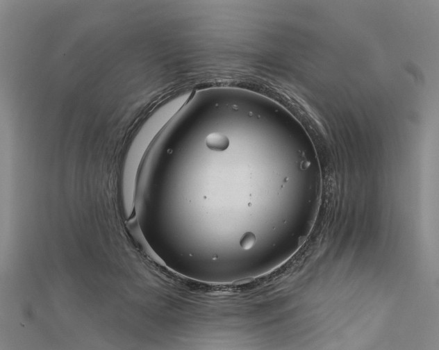 X0000113000505200909031256