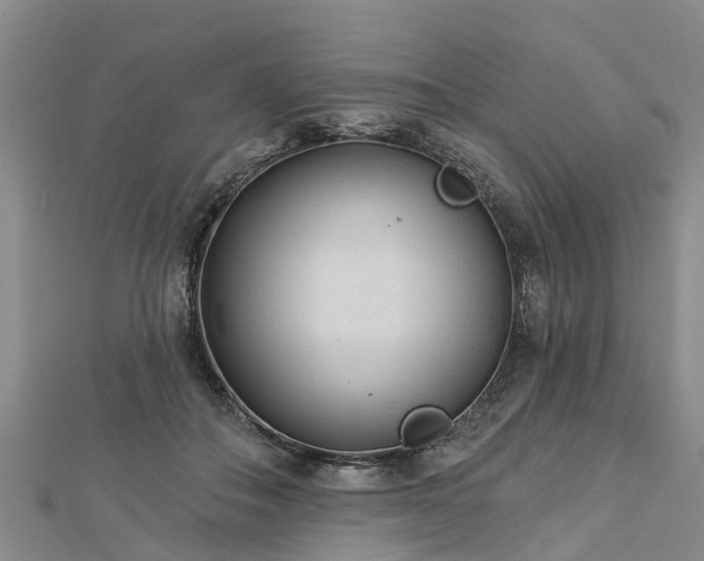 X0000113000506200909031256