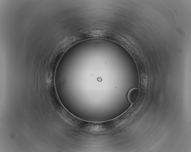 X0000113000507200909031256