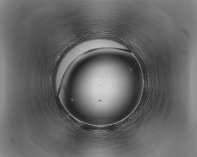 X0000113000508200909031256