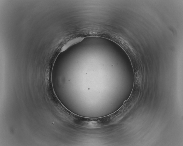 X0000113000509200909031256