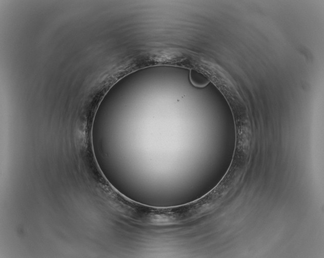 X0000113000510200909031256