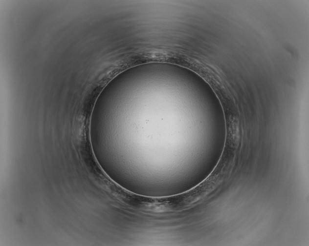 X0000113000511200909031256