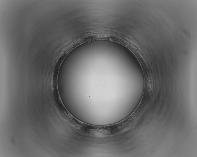 X0000113000512200909031256